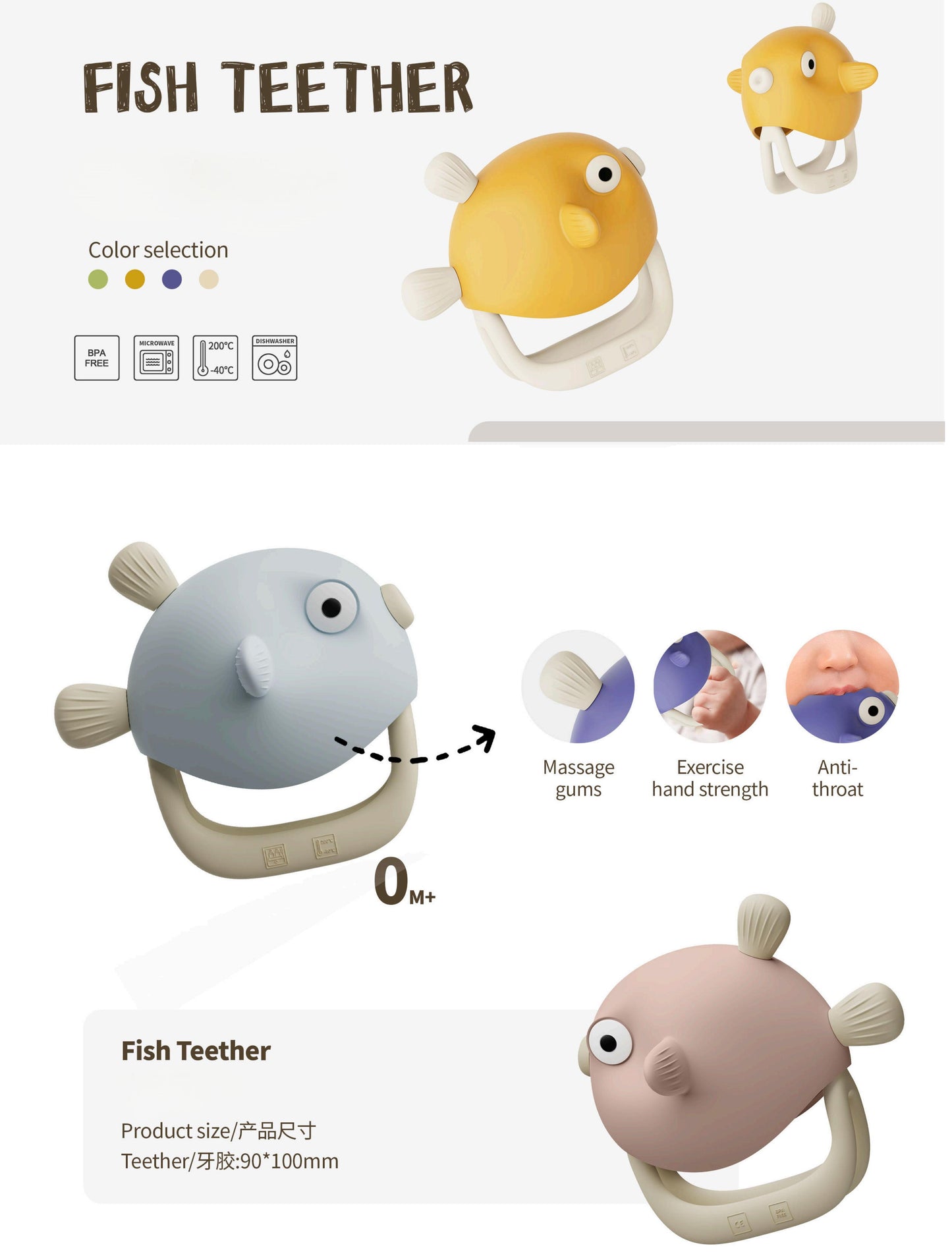 Anneaux de dentition Poisson