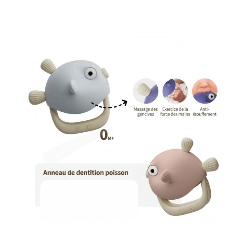 Anneau de dentition poisson, vue de face