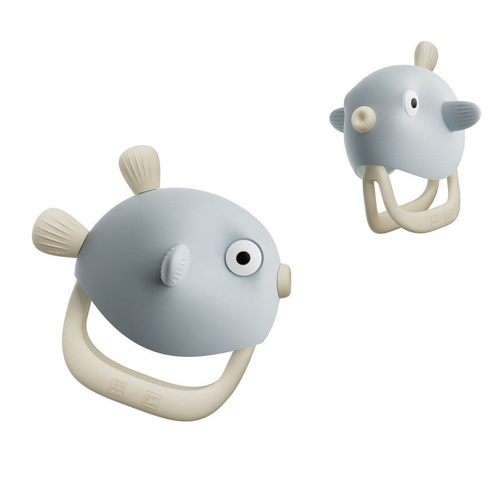 Anneaux de dentition Poisson