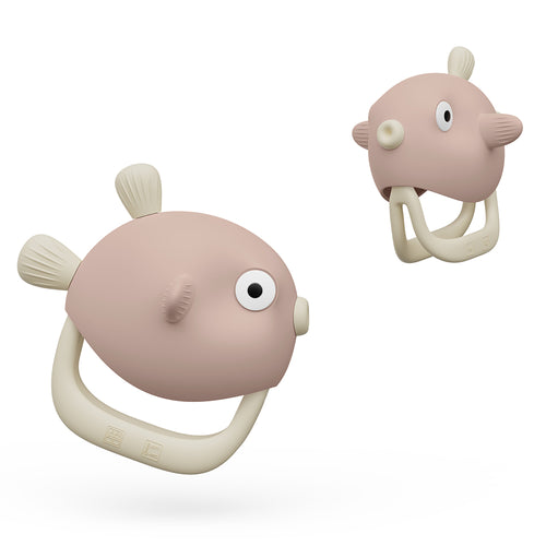 Anneaux de dentition Poisson