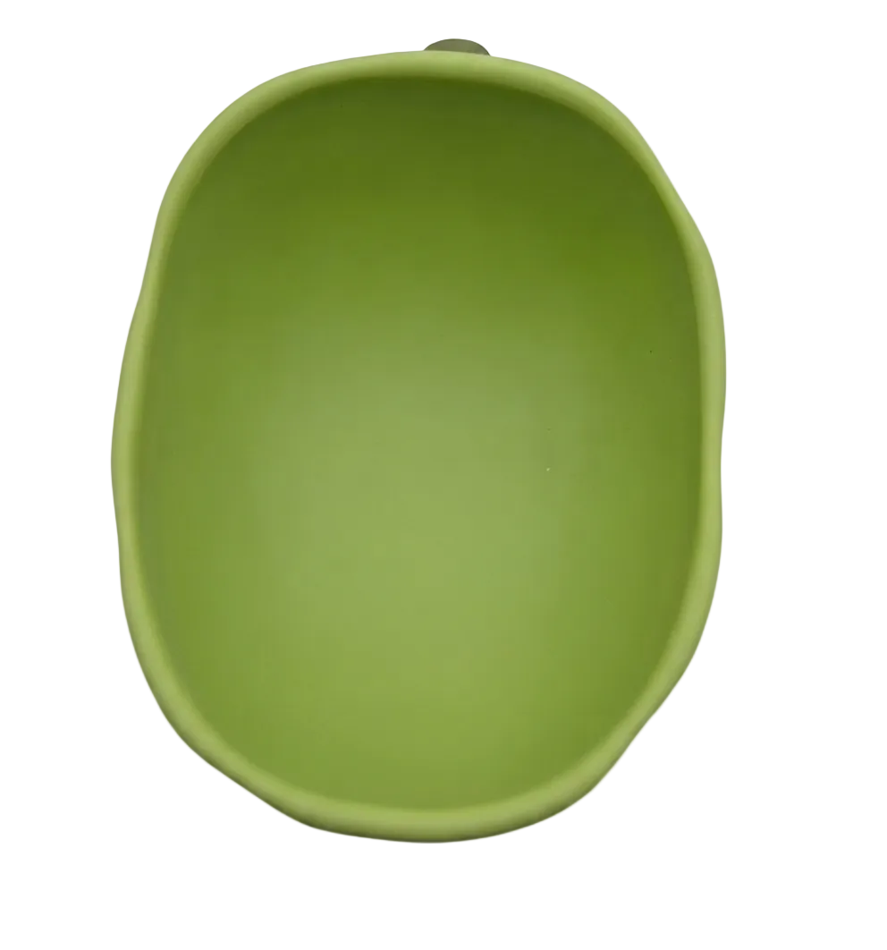 🥕Bol d’Apprentissage Bébé en Silicone Carotte